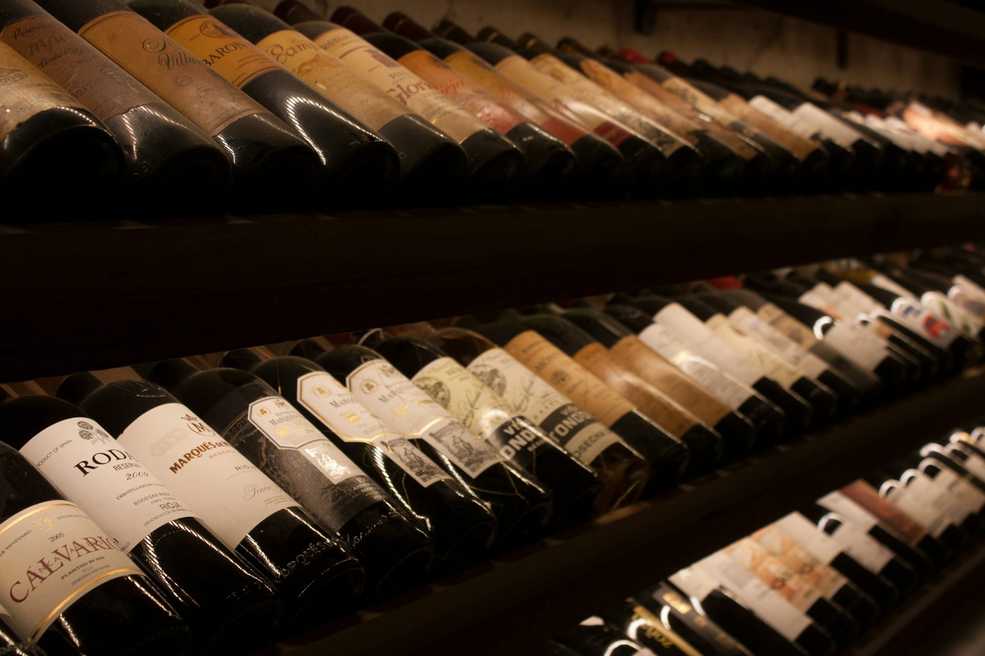 Wine bottles on cellar shelves