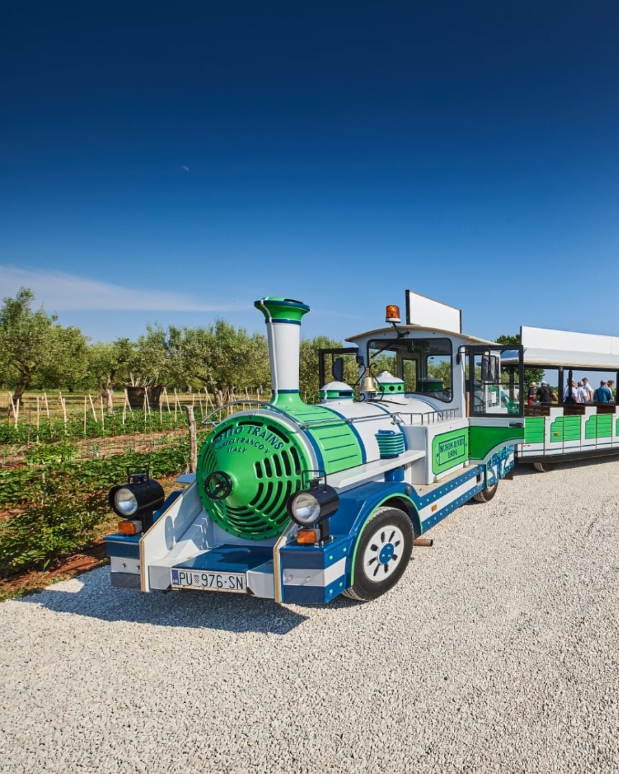 Percorso del vino di Cittanova tra i vigneti di Novigrad